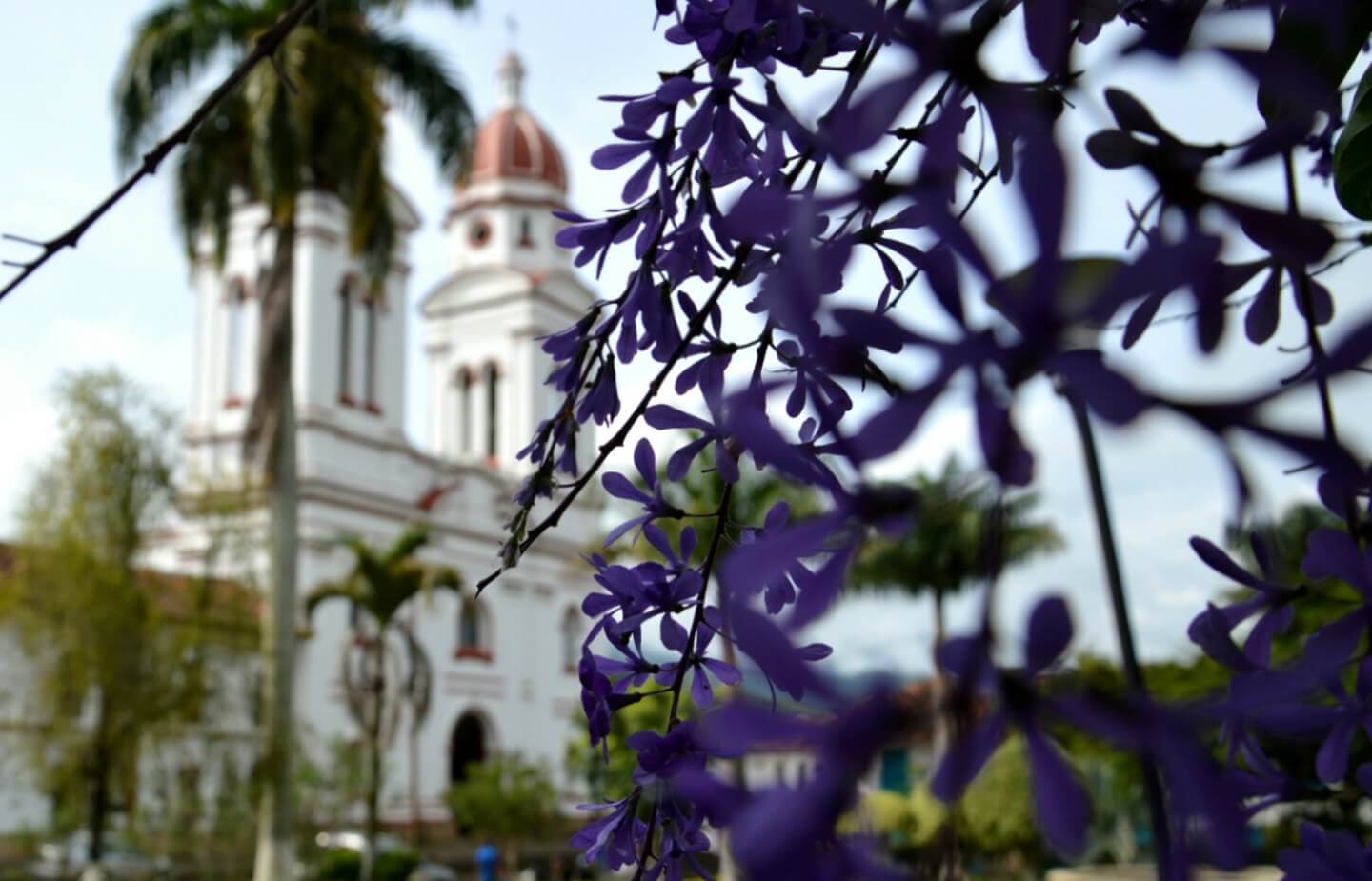 Charalá - a village off the beaten tourist track in Colombia Church of Charalá with purple flowers