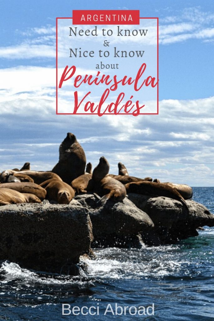 Need-to-know & nice-to-know about Peninsula Valdés