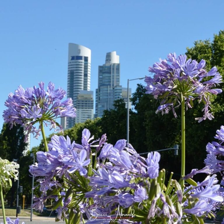 Slang in Argentina: A Traveler Guide to Argentinian Slang