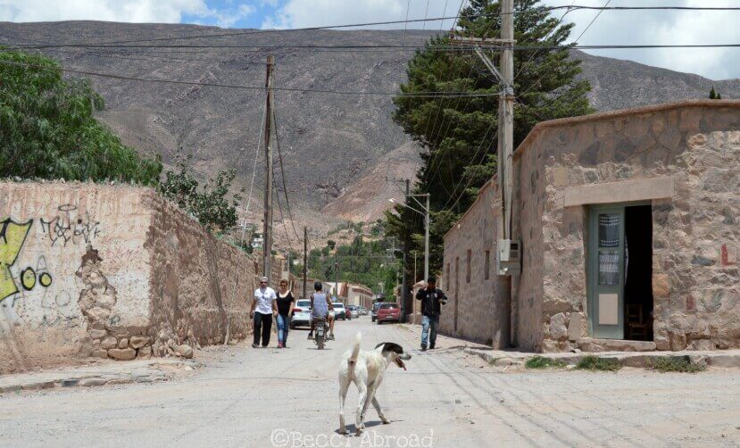 Get inspiration on how to best plan your itinerary for Northwest Argentina – Jujuy, Purmamarma, Tilcara and Humahuaca