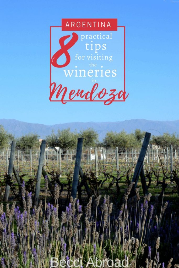 8 practical tips that will help you get the most out of your visit to the wineries in Mendoza