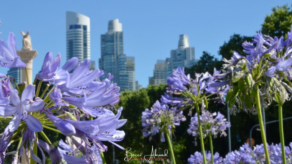 Is Argentina a Good Place to Study Abroad? An Honest Review