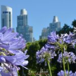 Is Argentina a Good Place to Study Abroad? An Honest Review