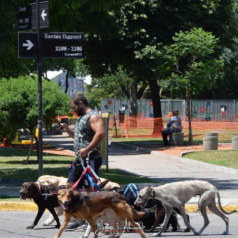 Med disse 30 gratis oplevelser i Buenos Aires kan du få det meste ud af Argentinas hovedstad!