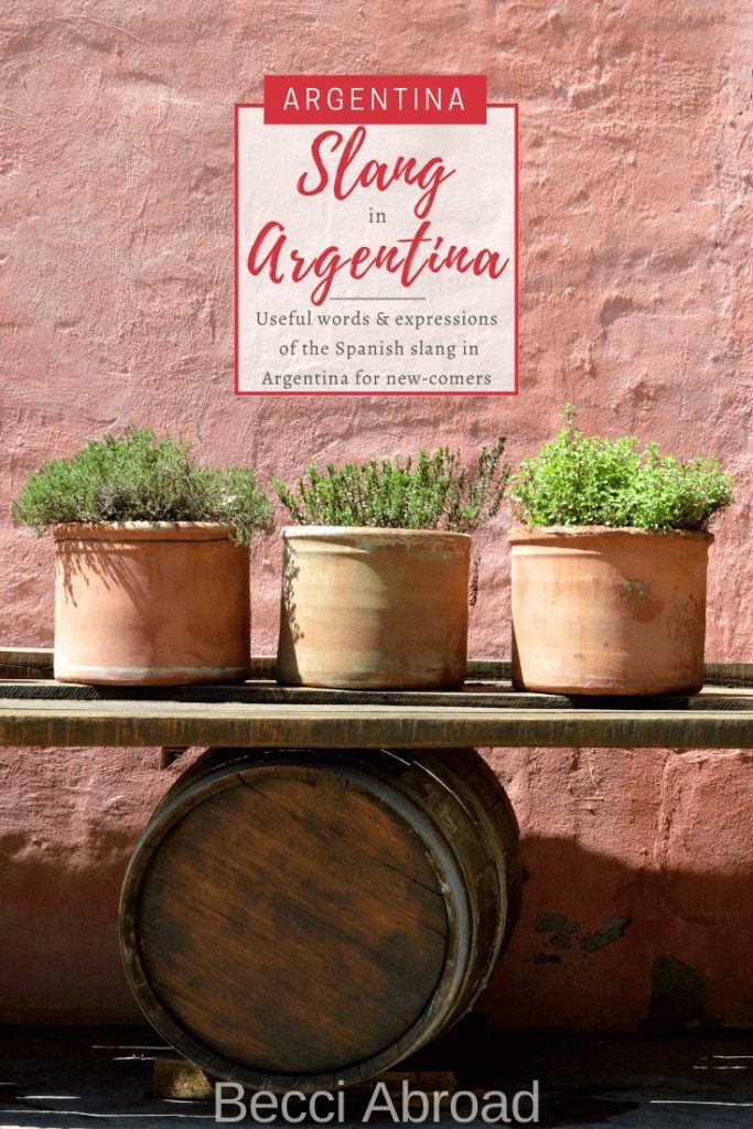 Spanish slang you should know before visiting Argentina
