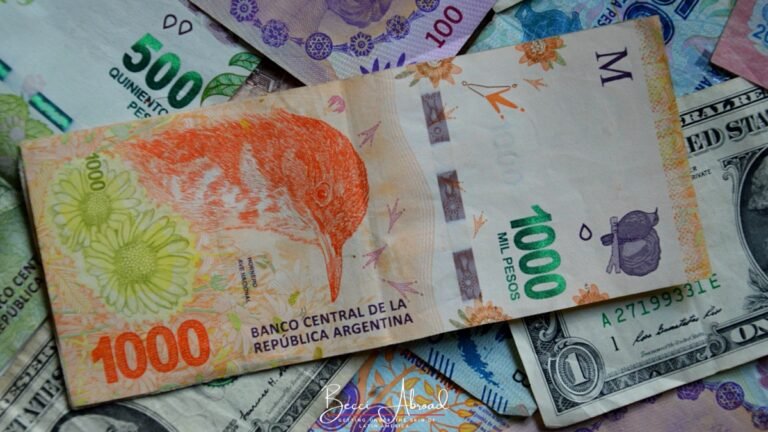 Currency Exchange In Argentina Becci Abroad