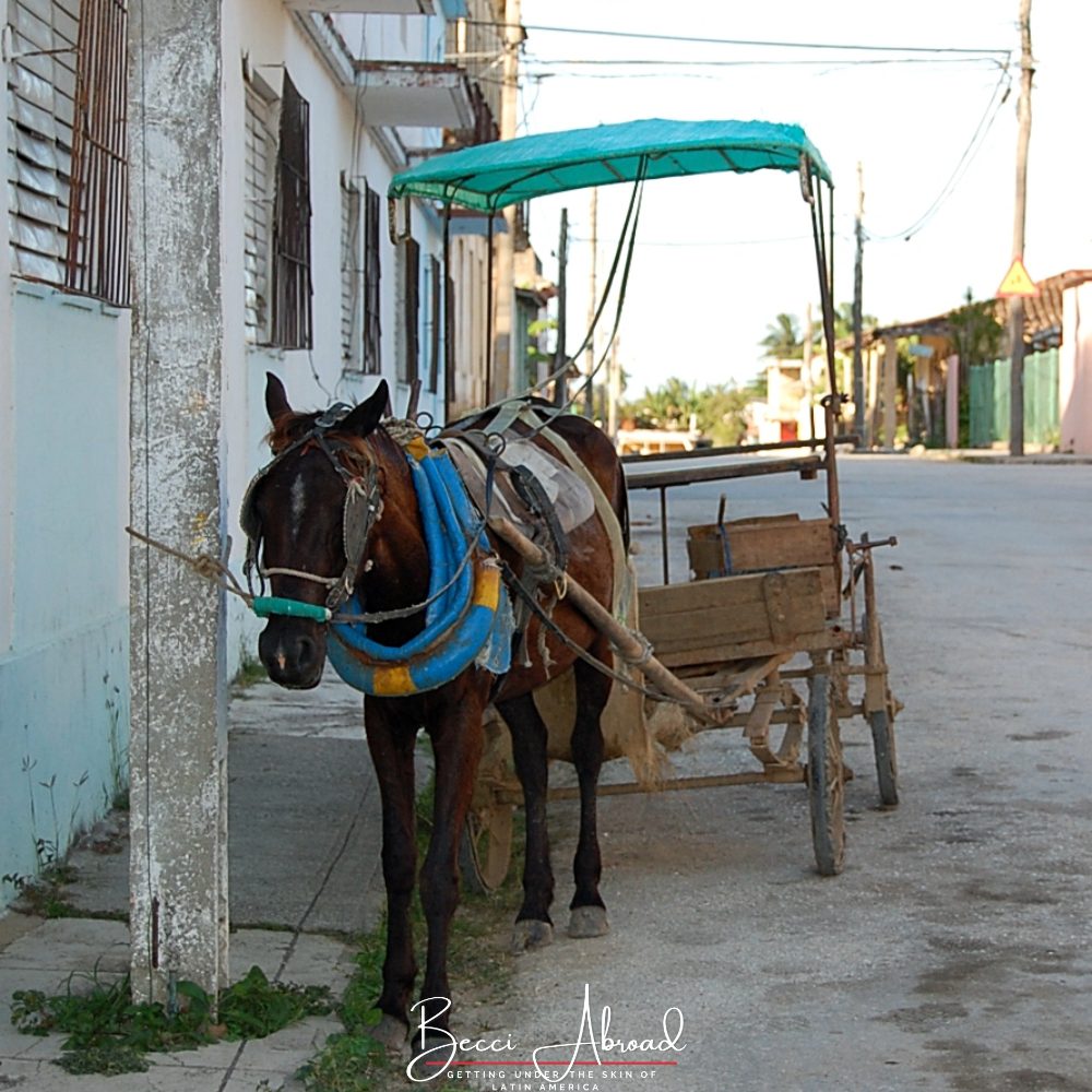 Horse carriage parked in the street in Cuba