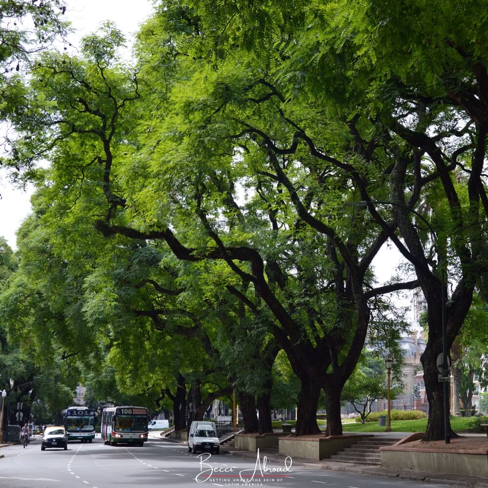 Beautiful Local Parks and Secret Gardens to Visit in Buenos Aires