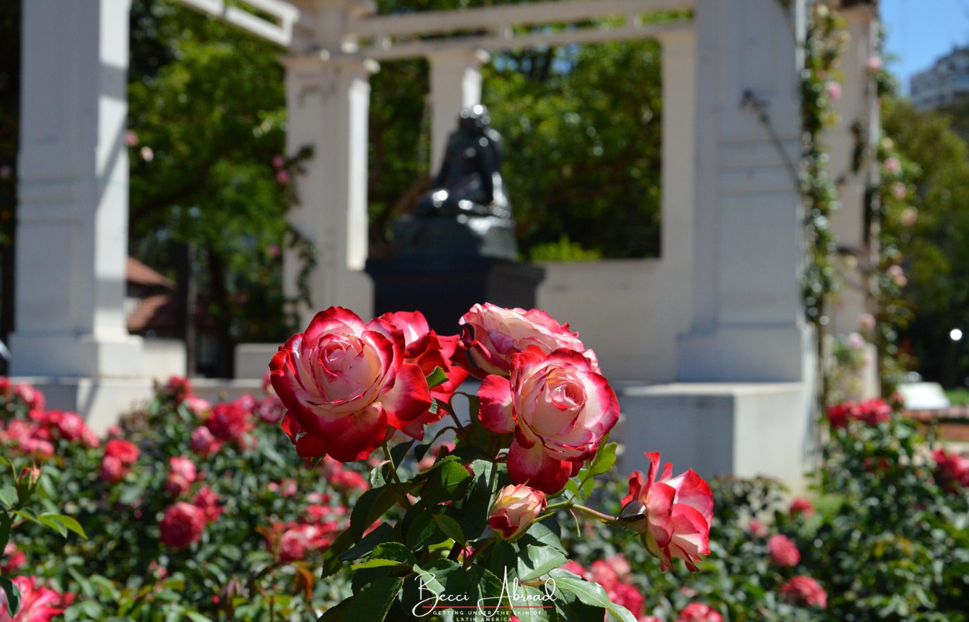 Beautiful Local Parks and Secret Gardens to Visit in Buenos Aires