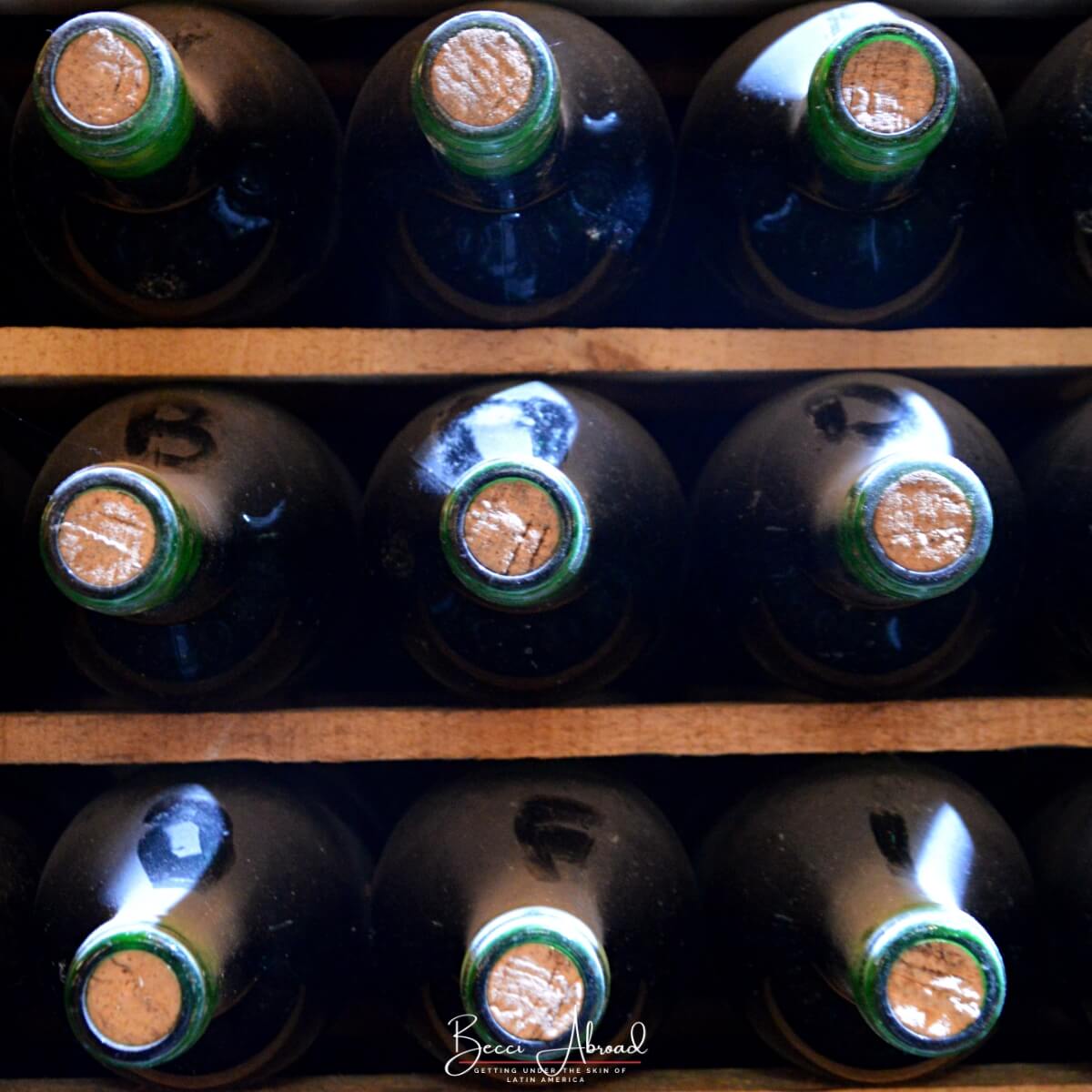 Bottles of Argentine wine