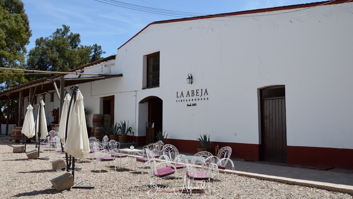 San Rafael (Mendoza) er det perfekte sted i Argentina til at besøge vingårde og smuk natur.