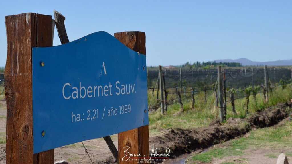 The Best Things to Do in San Rafael, Argentina
