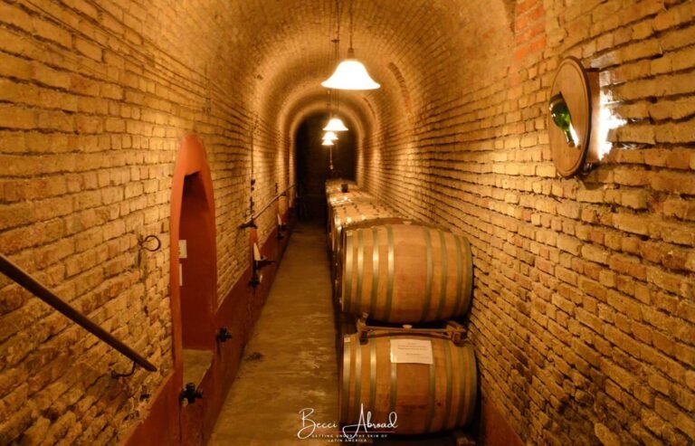 The Best Things to Do and See San Rafael, Argentina