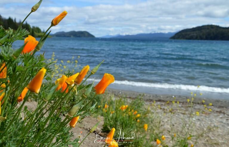 The 10 Best Things to Do in Bariloche, Argentina