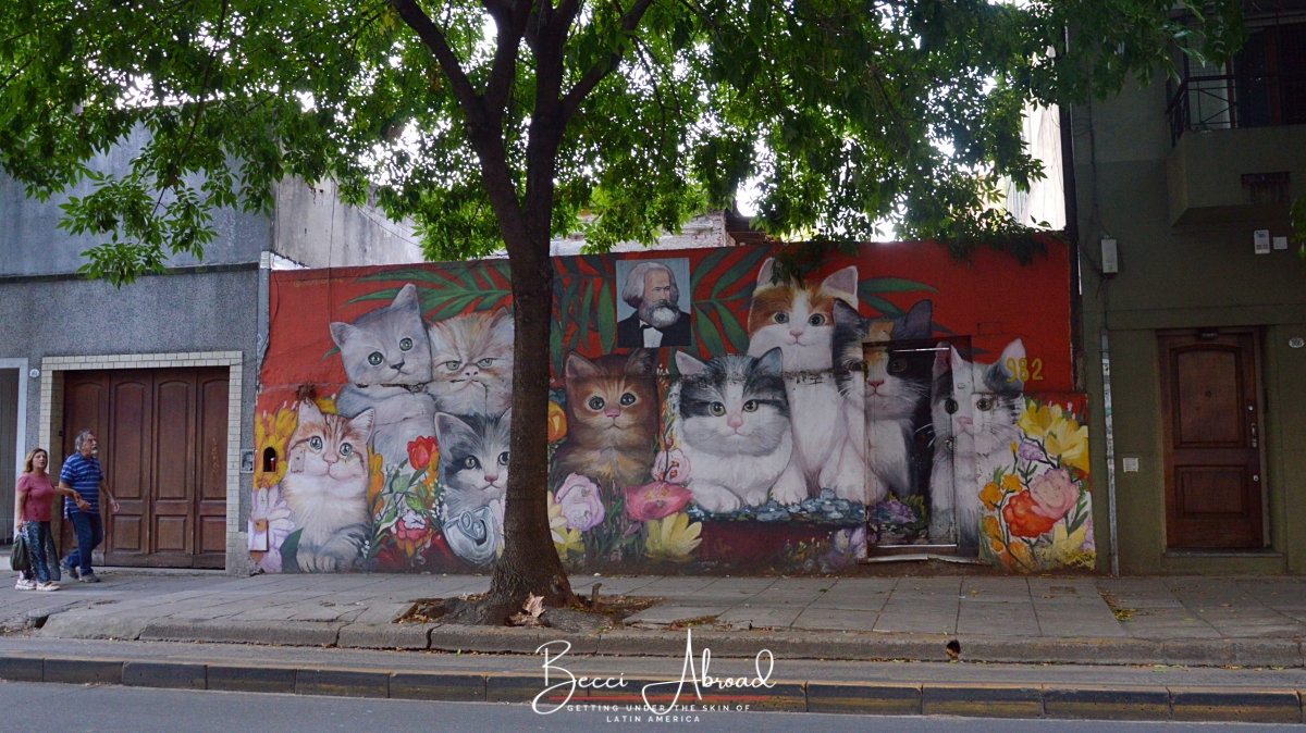 Besøg 8 farverige vægmalerier i Buenos Aires! 