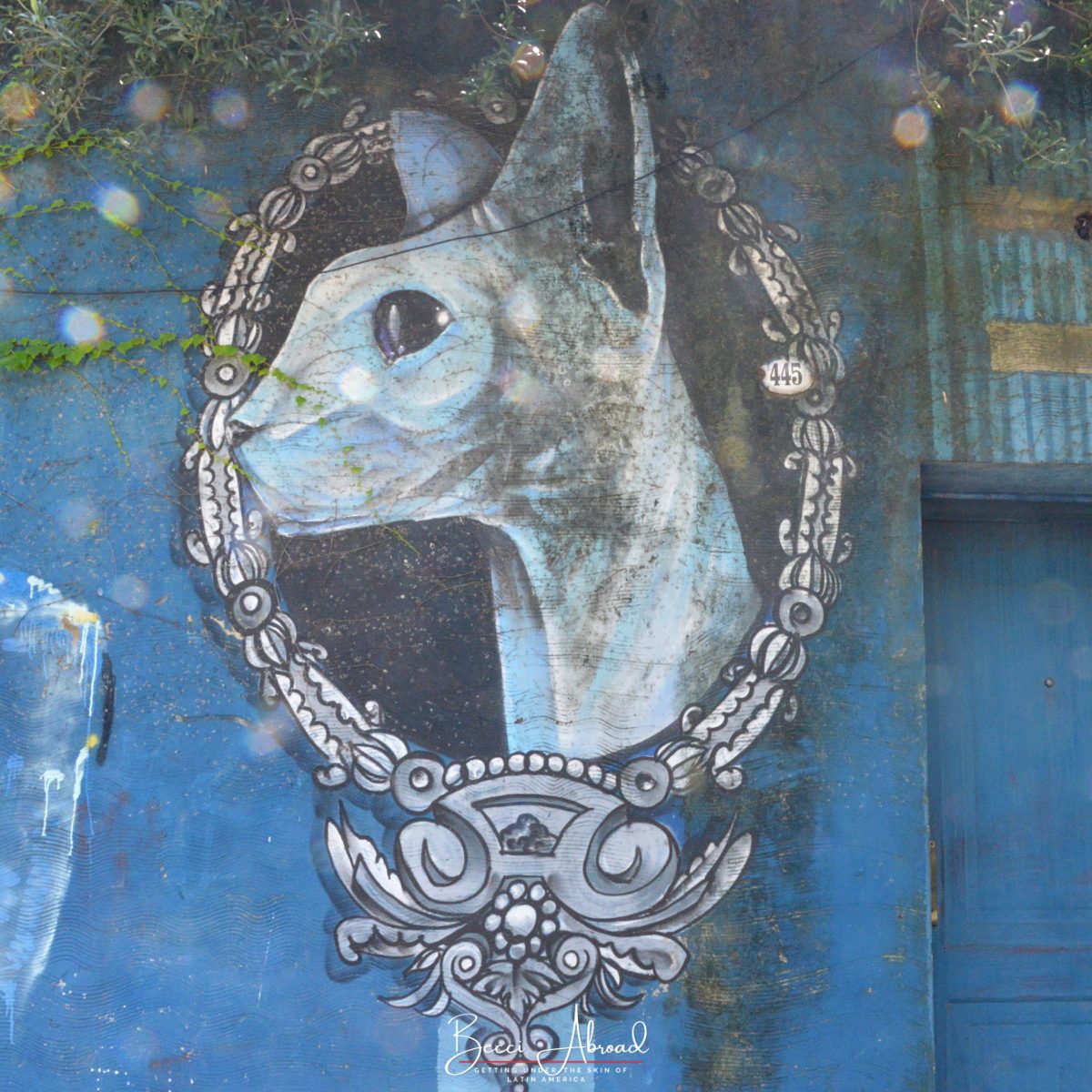 Complete Guide on Where to Find the Best Street Art in Buenos Aires (Argentina)