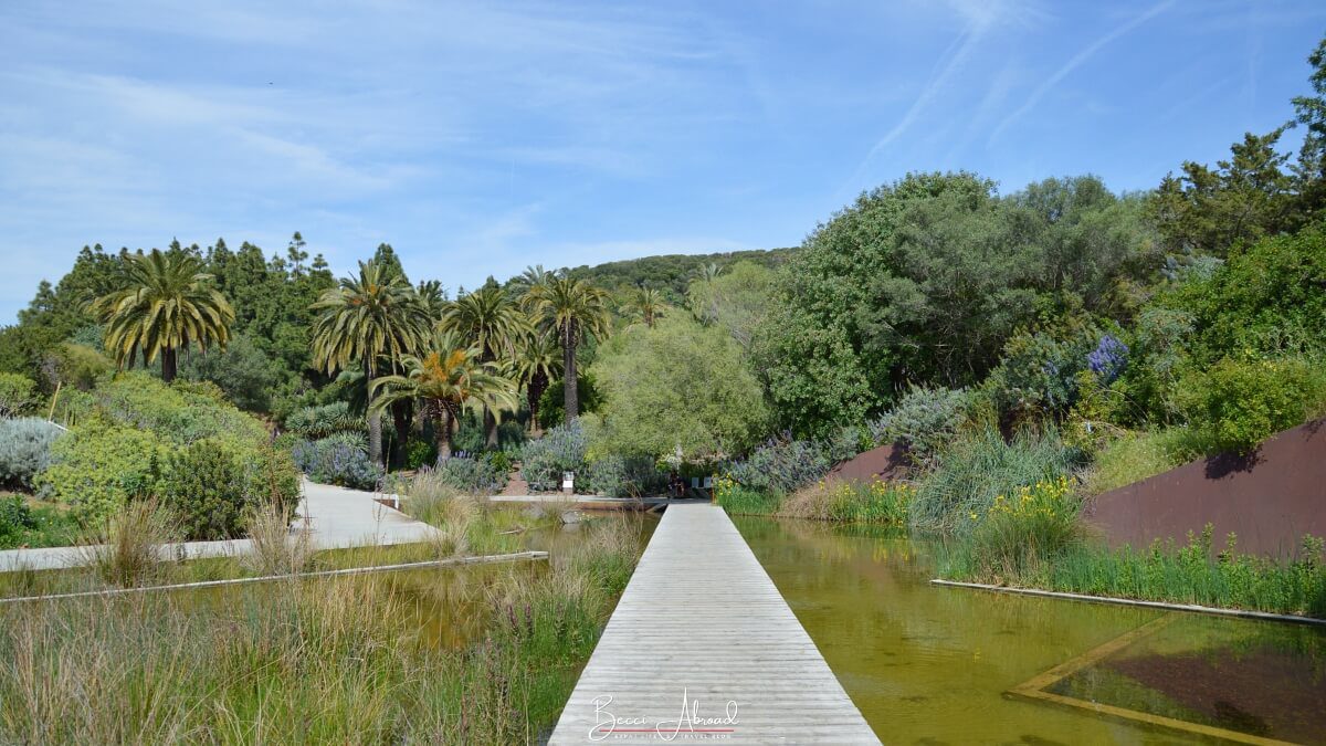 A quiet moment at the Barcelona's Botanical Garden, a non-touristy spot in Barcelona