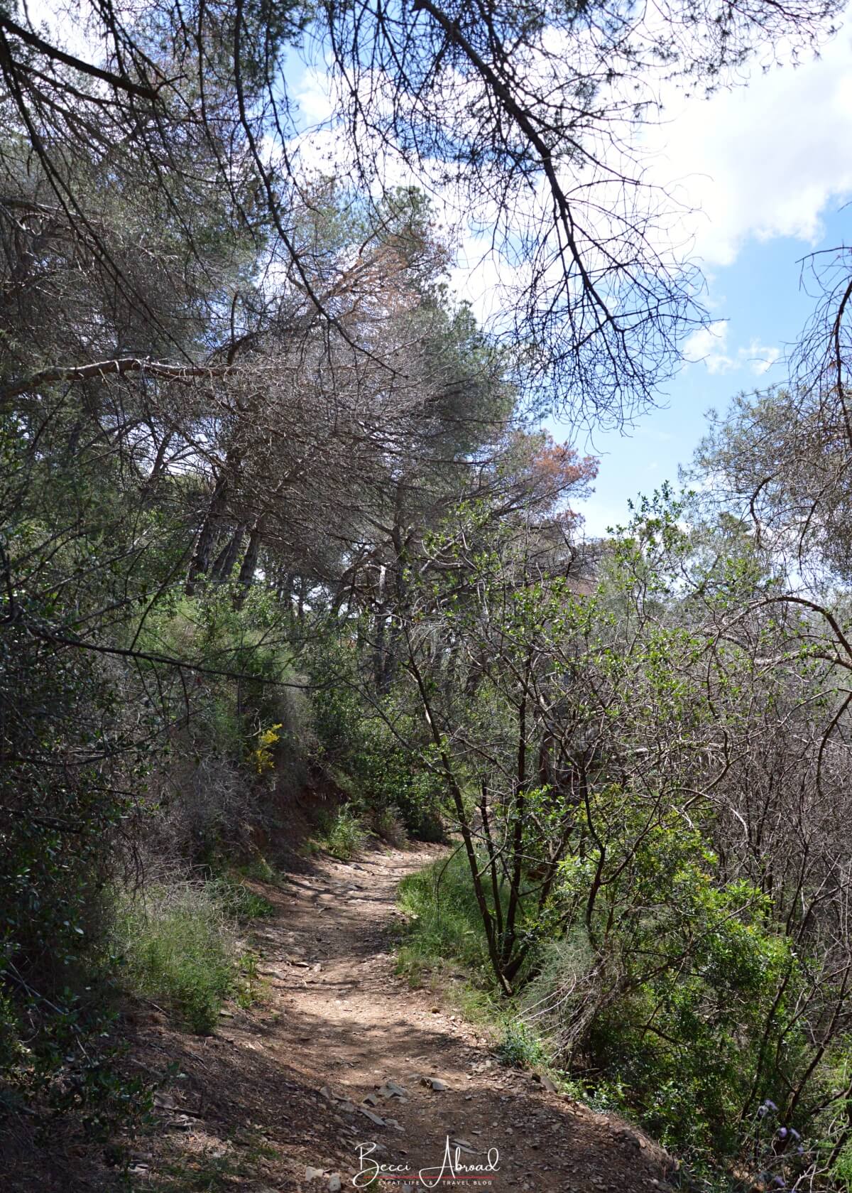 The trail to the Fabra Observatory, an off-the-beaten-path spot in Barcelona offering stunning city views