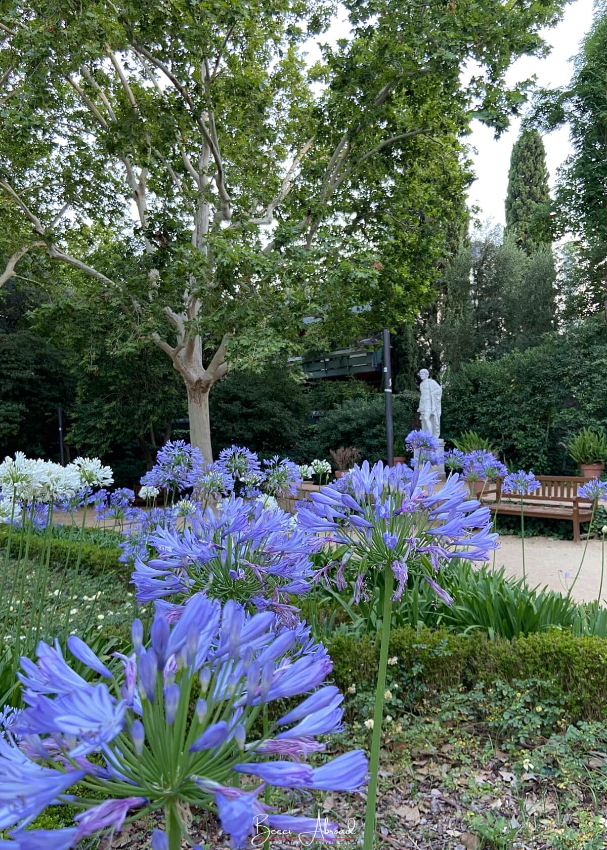 Exploring the quiet secret garden of Jardins de la Tamarita, a hidden gem in Barcelona away from the tourist crowds