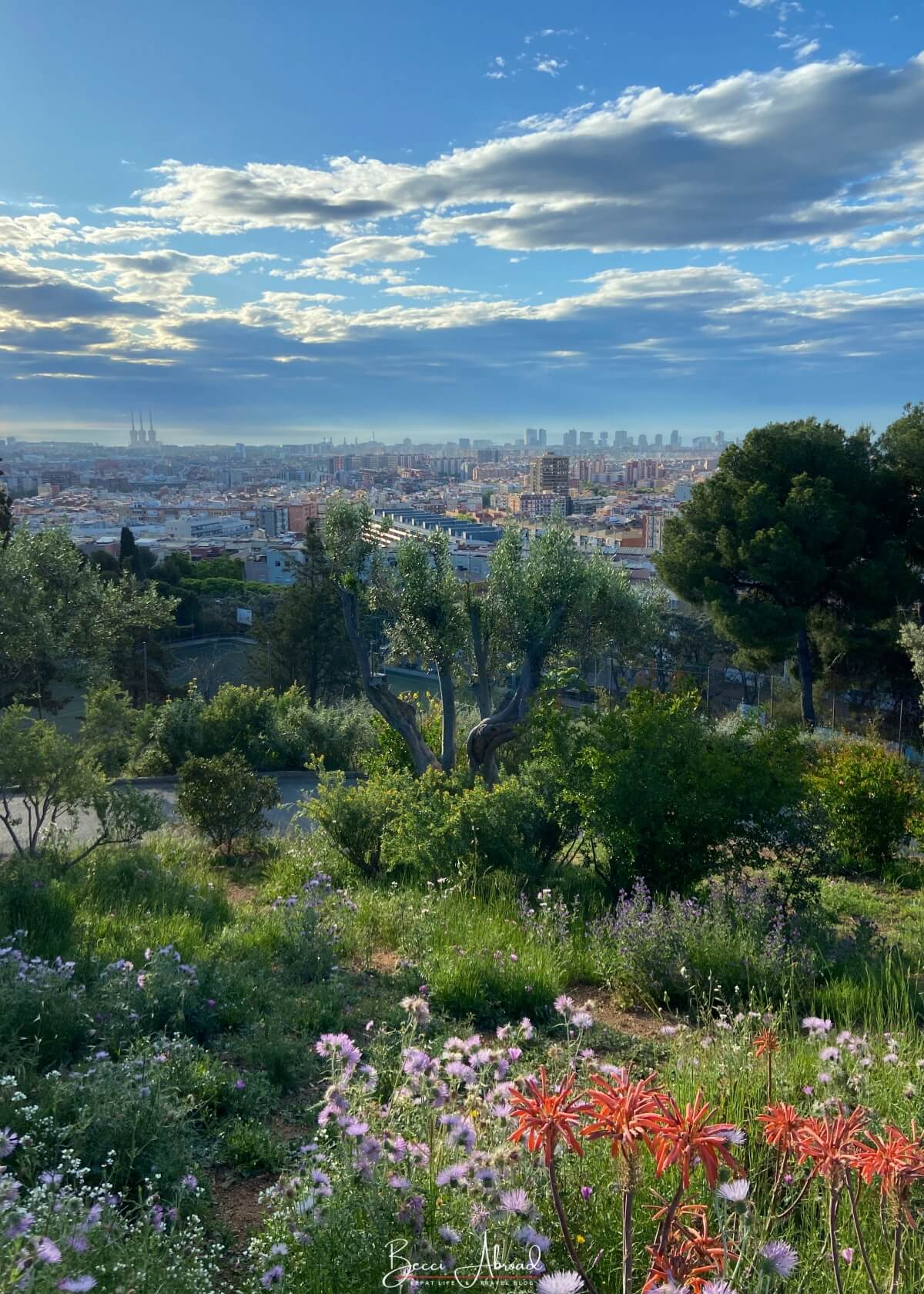 Relaxing at the Parc del Turó de la Peira away from the main tourist spots, a non-touristy thing to do in Barcelona