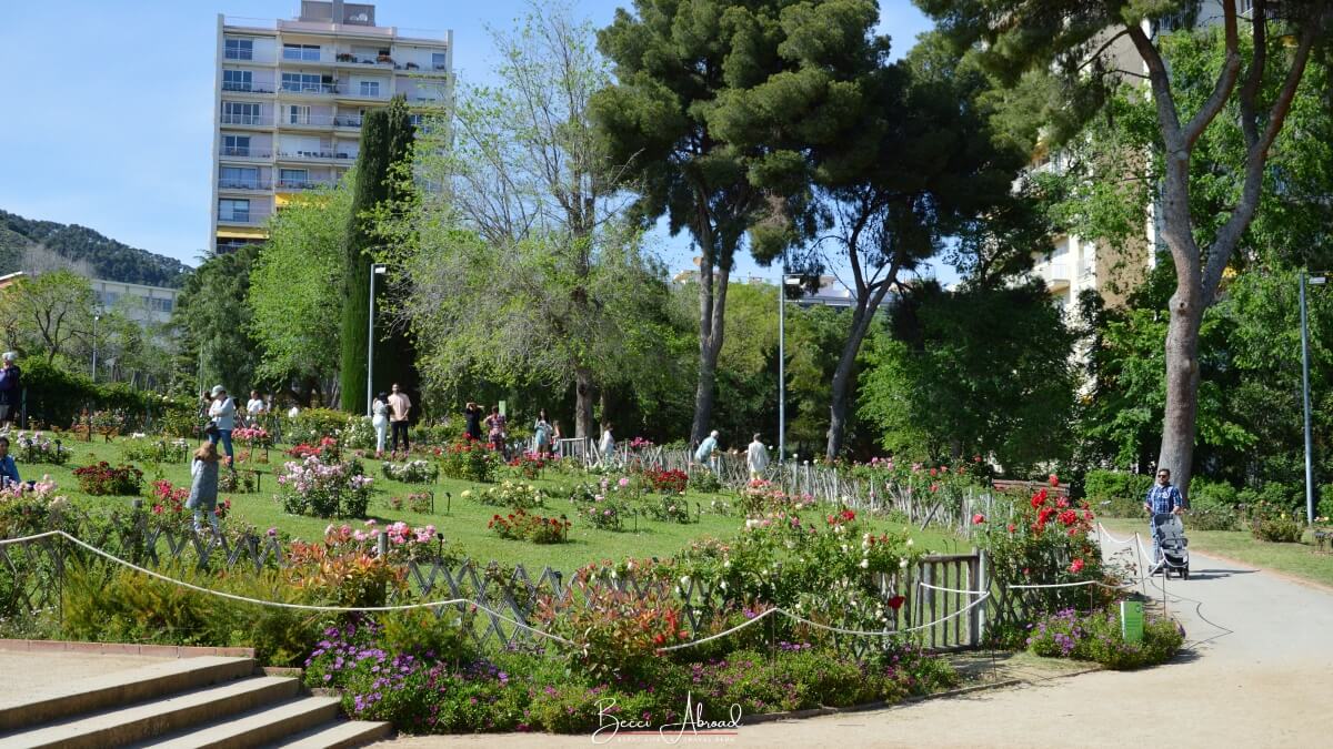 A visit to the Rose Garden at the Cervantes Park, a hidden gem in Barcelona