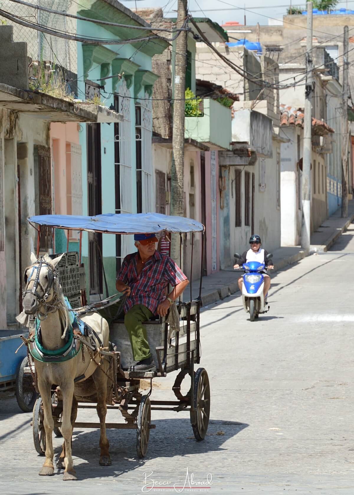 Cuban man riding a horse carriage in the streets for Santa Clara - one of the top places to visit in Cuba