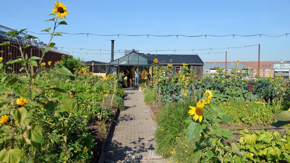 Start your day off the beaten path in Copenhagen with breakfast at the urban farm, Gro Eatery