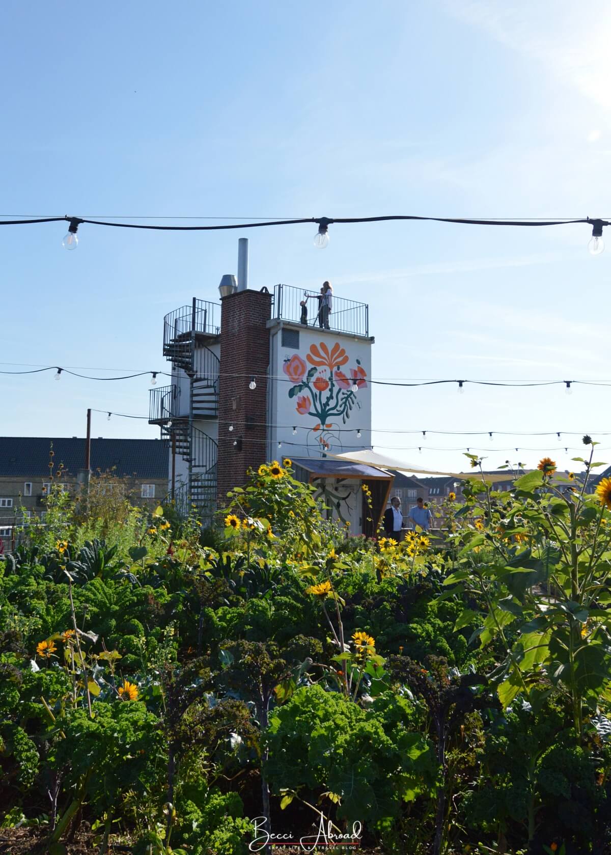 The urban farm and restaurant Gro Eatery in Copenhagen 