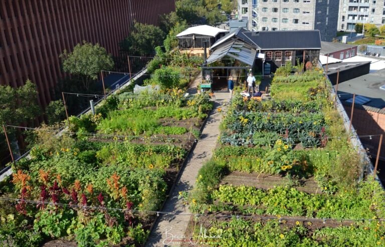 Copenhagen Off-the-Beaten-Path: An Alternative One Day Itinerary