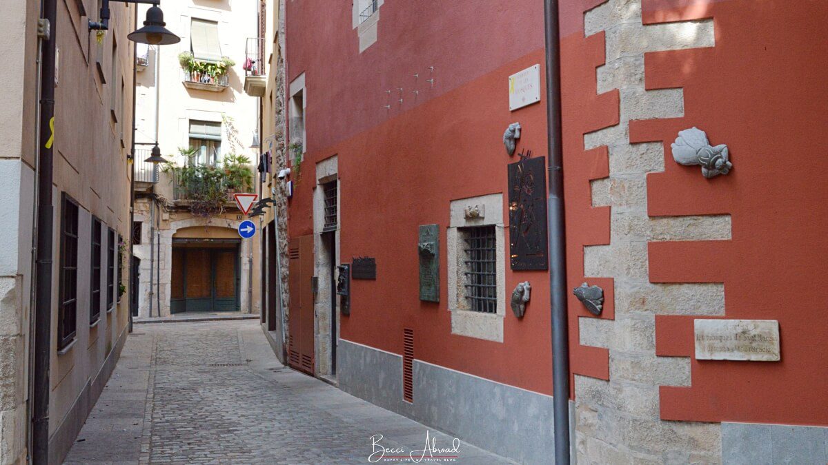 Walls with flies on Hotel Museu Llegendes de Girona