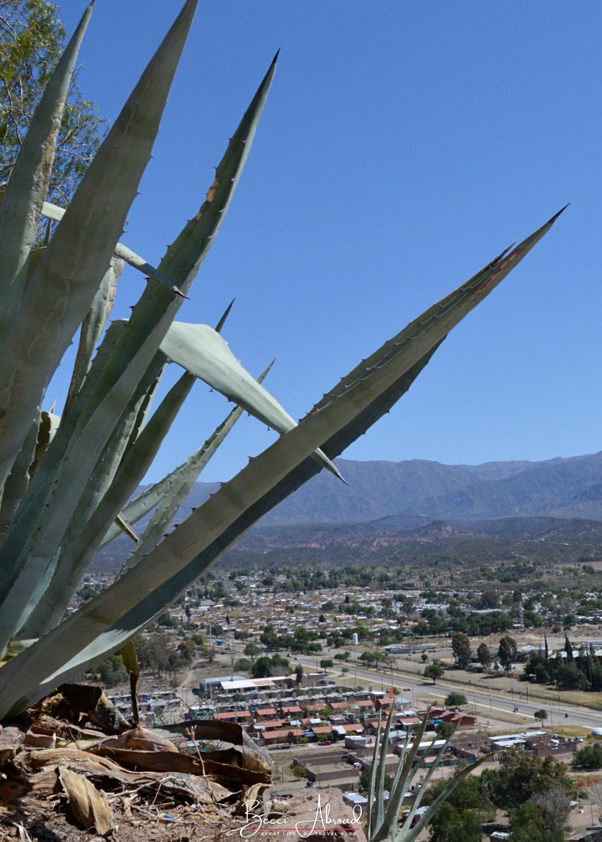 The view from Cerro de Gloria viewpoint