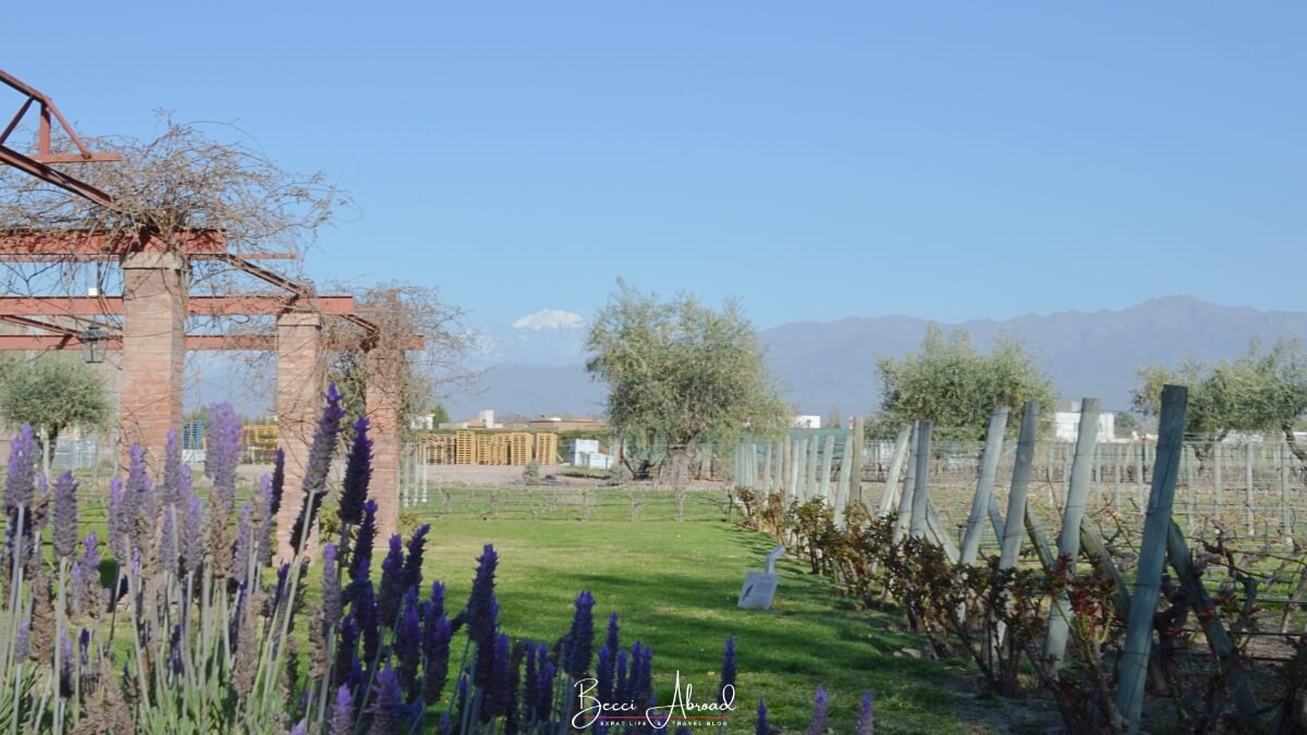 Wine tasting in Mendoza at a scenic vineyard with Andes mountains in the background.