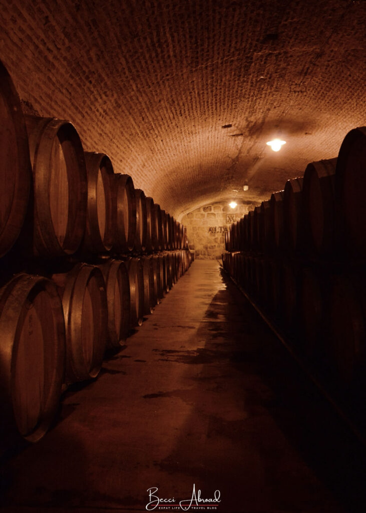 Wine celler in Mendoza, Argentina