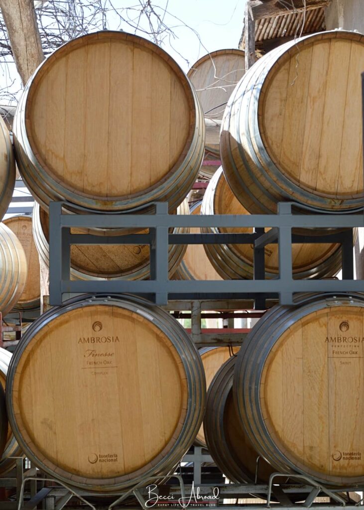 Wine barrels at a vineyard in Mendoza