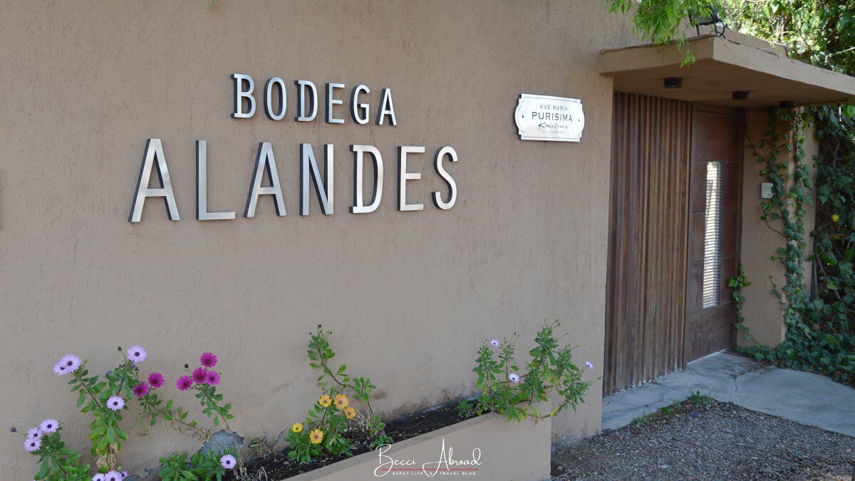Bodega Alandes - wine tasting in Mendoza