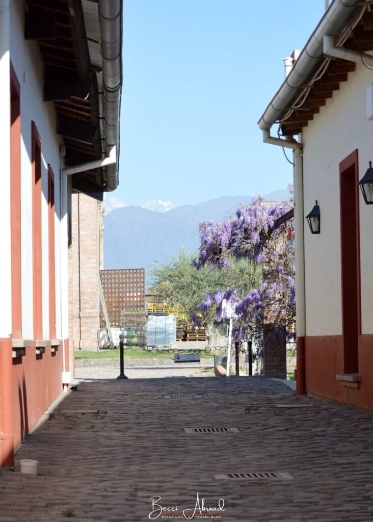 Outdoor scenary from Luján de Cuyo