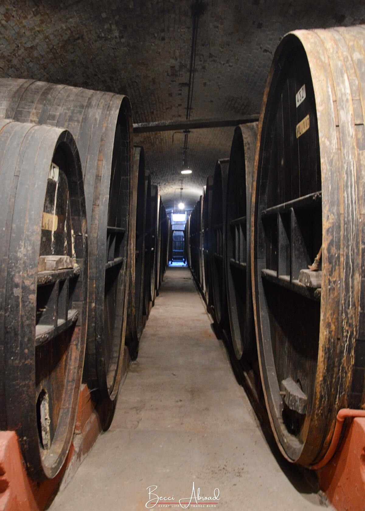 Wine tours in Mendoza often include visits of the winery's facilities, including to the barres