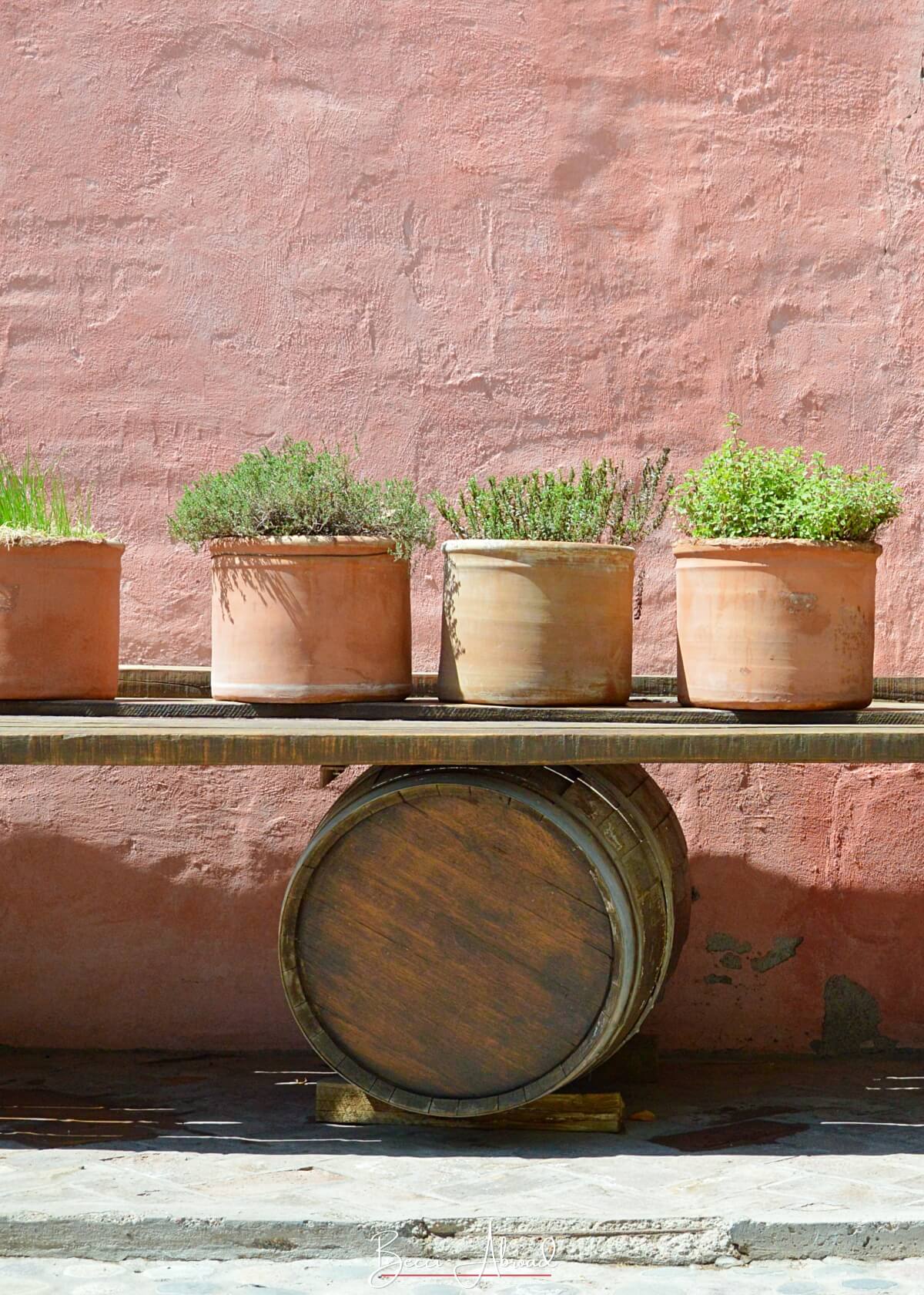 Outdoor wine tasting in Mendoza at Clos de Chacras