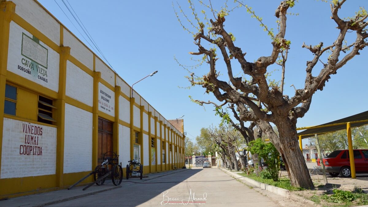 Antigua Bodega Goli, one of Mendoza's oldest wineries to visit on a Mendoza Wine Tour