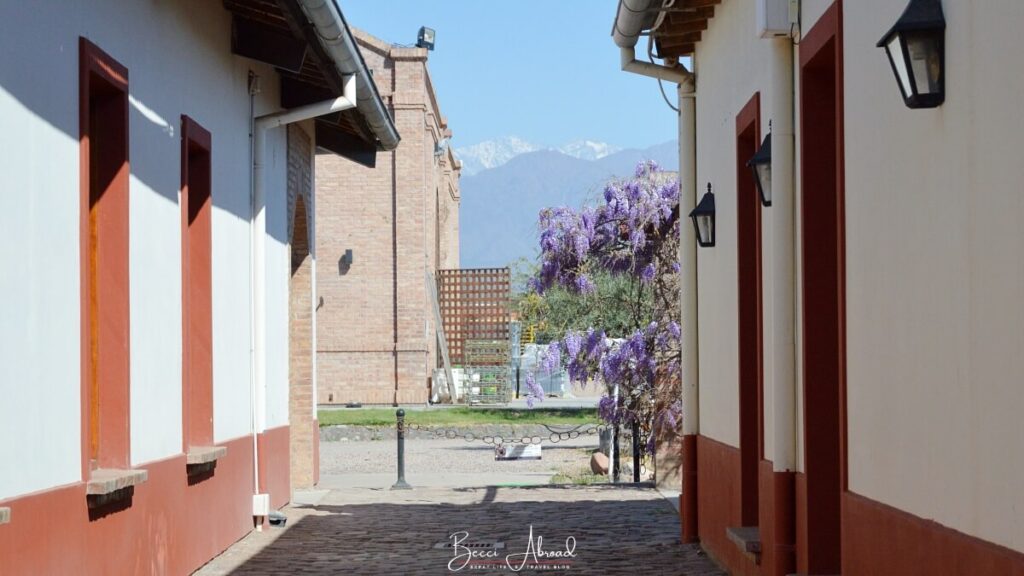 Alta Vista Winery with the Andes Mountains in the background