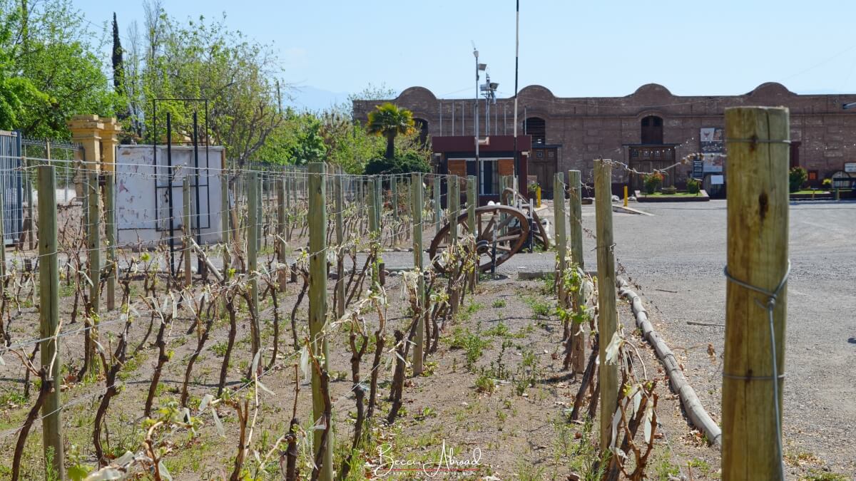 Historic winery in Maipú during a Mendoza wine tour