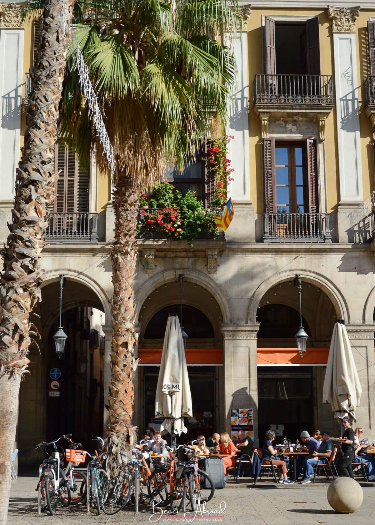 winter in barcelona,Things to do in Barcelona in winter,Barcelona off-season,What to do in Barcelona in winter,barcelona in the winter