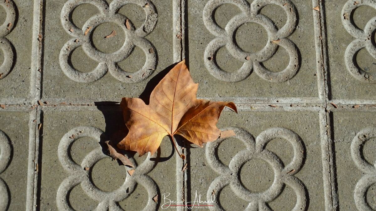 winter in barcelona,Things to do in Barcelona in winter,Barcelona off-season,What to do in Barcelona in winter,barcelona in the winter