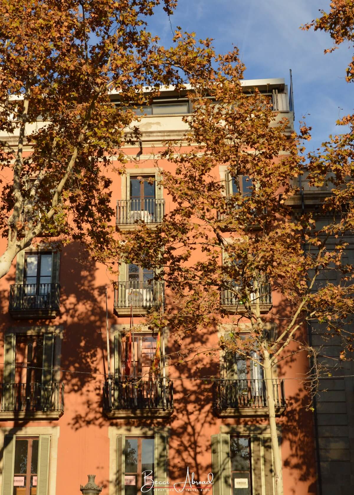 winter in barcelona,Things to do in Barcelona in winter,Barcelona off-season,What to do in Barcelona in winter,barcelona in the winter