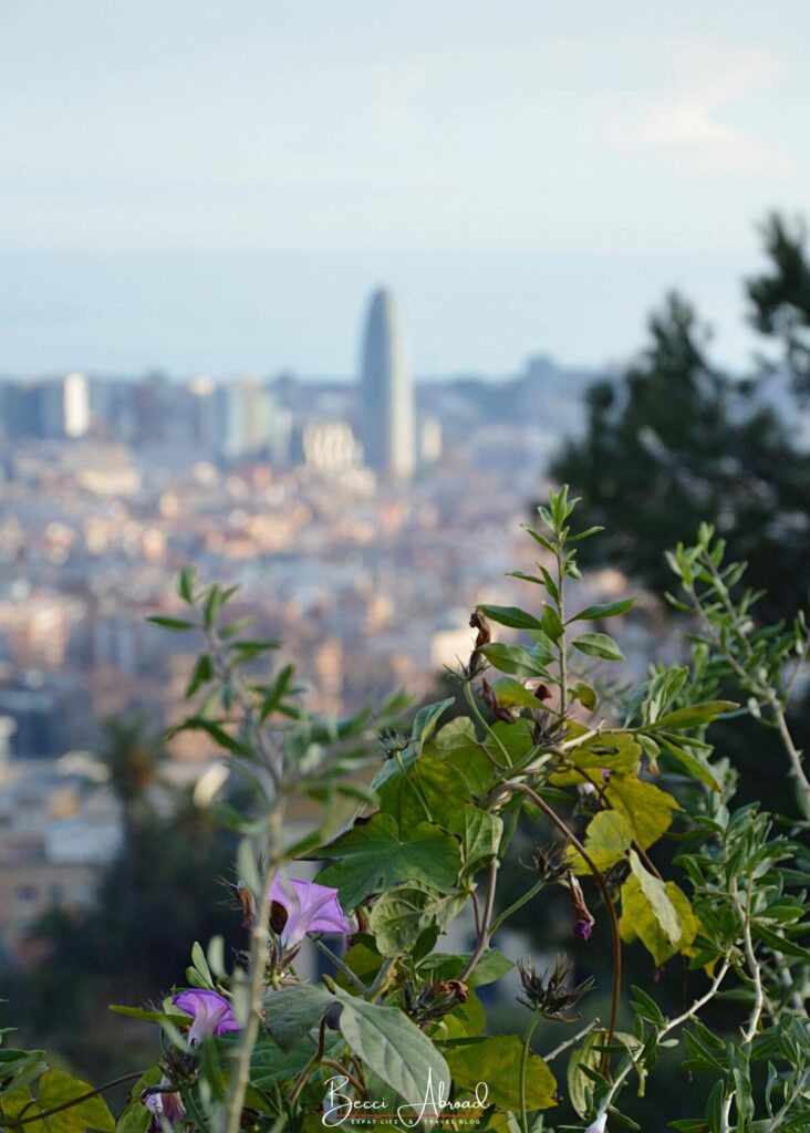 winter in barcelona,Things to do in Barcelona in winter,Barcelona off-season,What to do in Barcelona in winter,barcelona in the winter