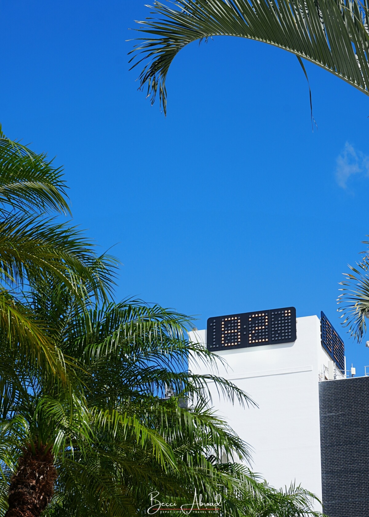 One week in Miami,1-week itinerary in Miami,One Week in Miami Itinerary,week in Miami