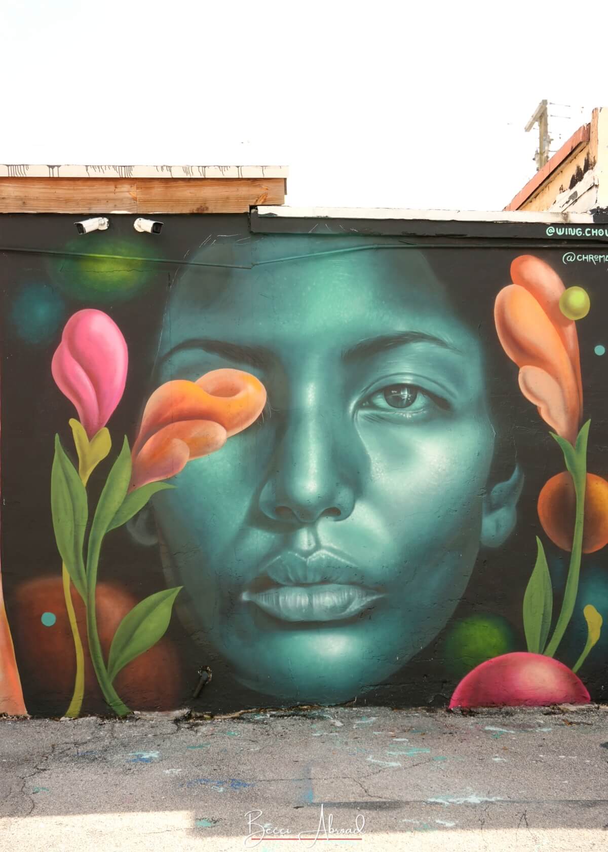 Little Havana,Little Havana in Miami,Calle Ocho,Calle Ocho in Miami