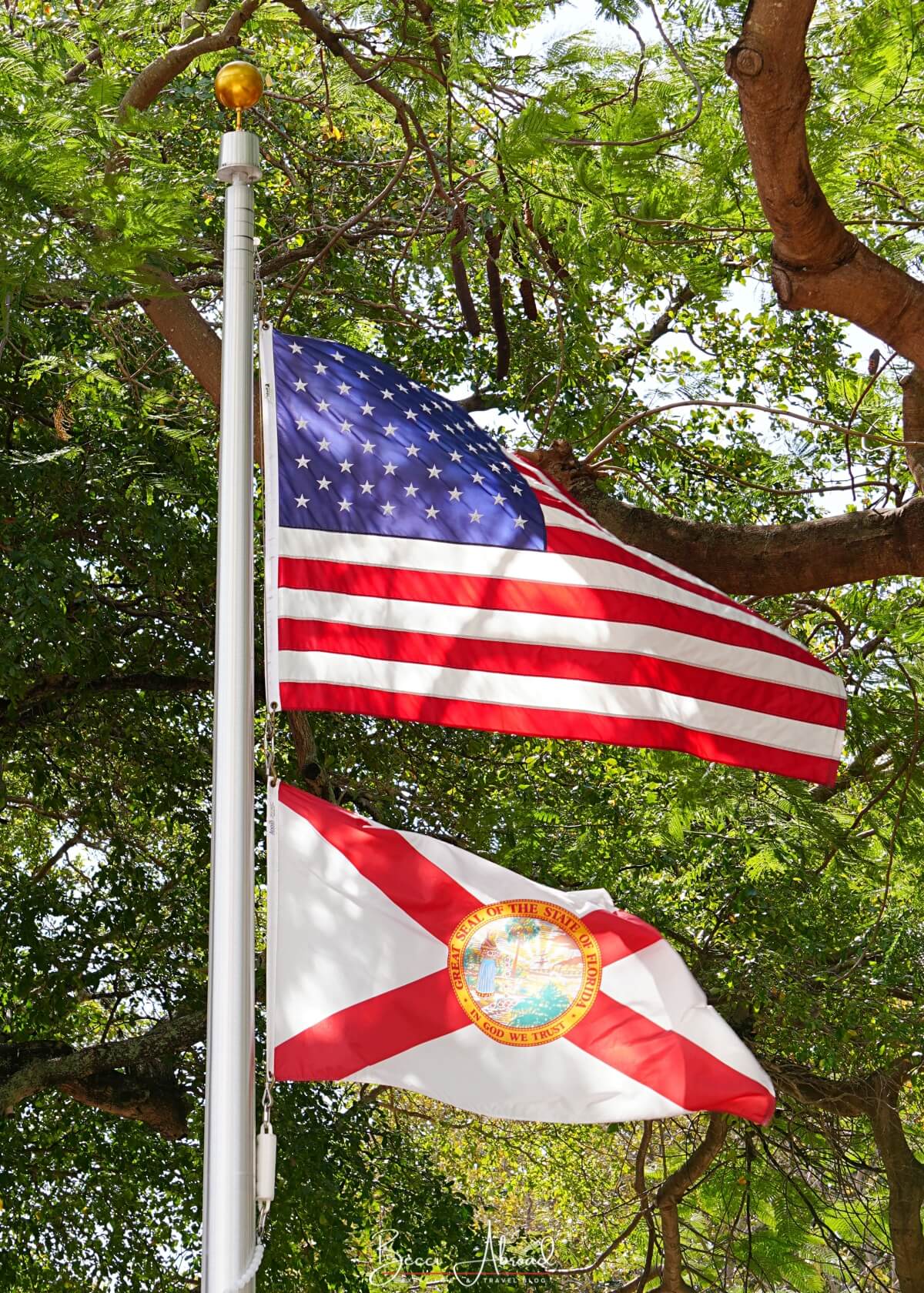 Little Havana,Little Havana in Miami,Calle Ocho,Calle Ocho in Miami