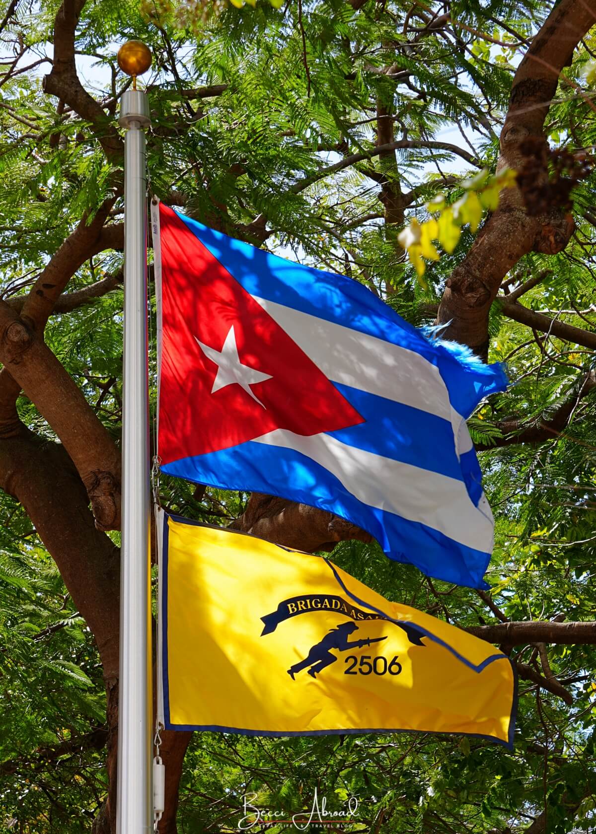 Little Havana,Little Havana in Miami,Calle Ocho,Calle Ocho in Miami