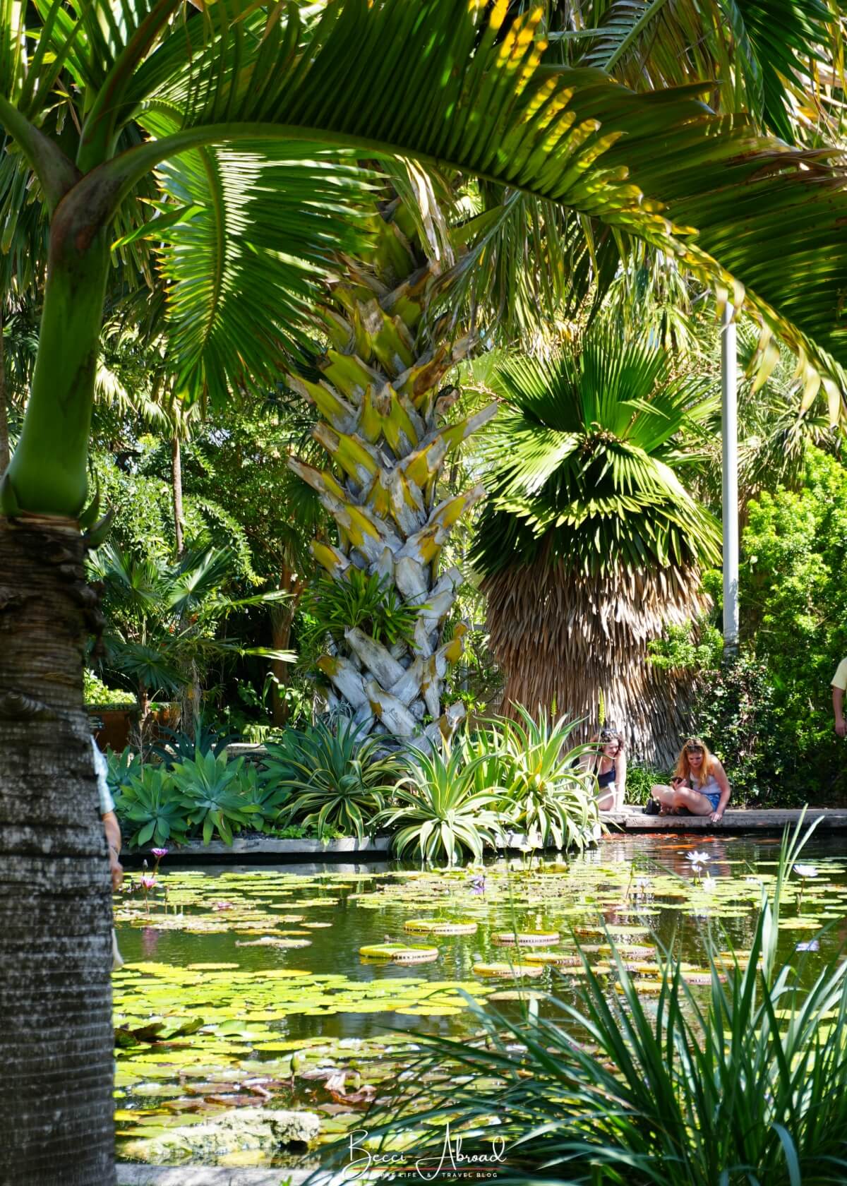 One week in Miami,1-week itinerary in Miami,One Week in Miami Itinerary,week in Miami